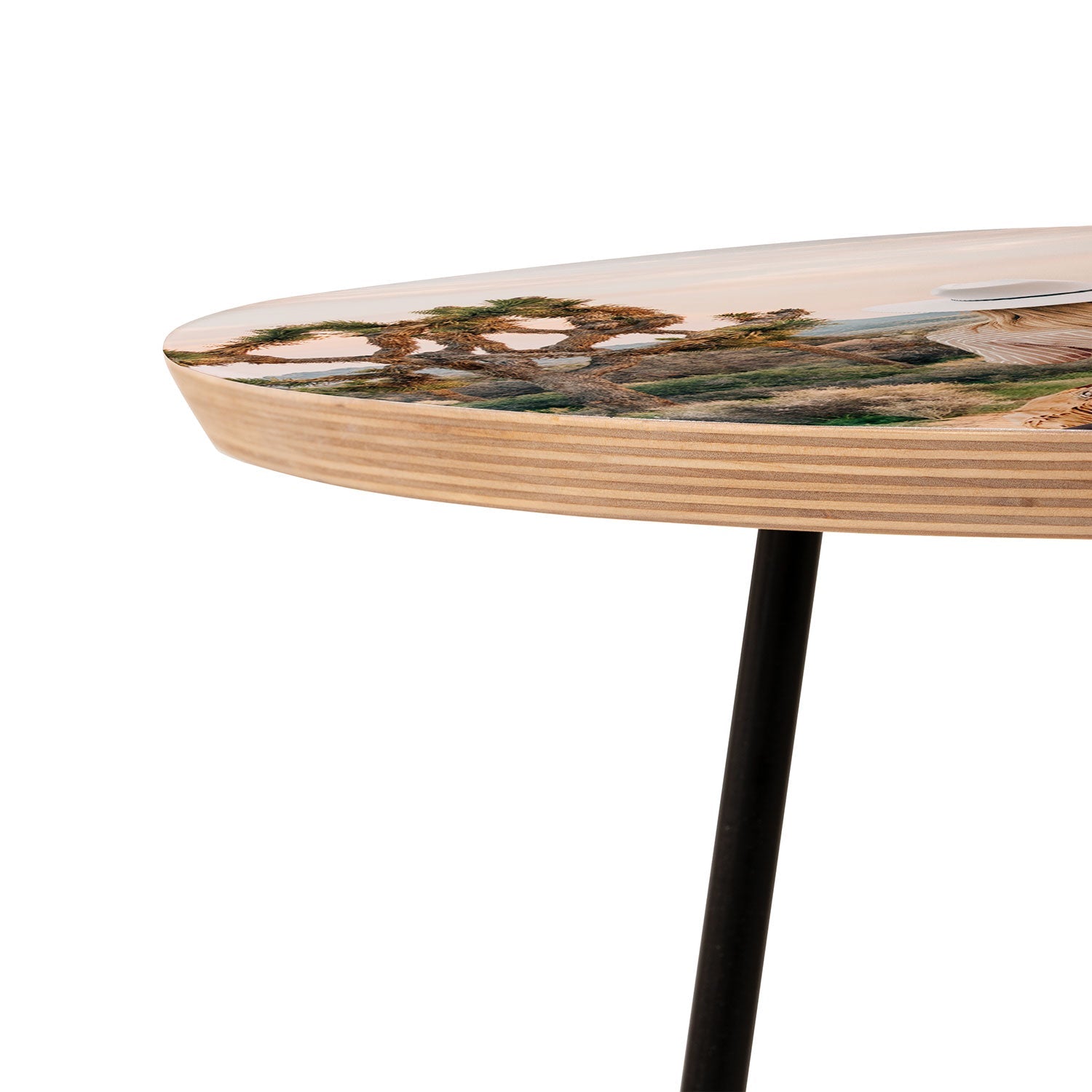 Gal Design The Desert Cowgirl Round Side Table