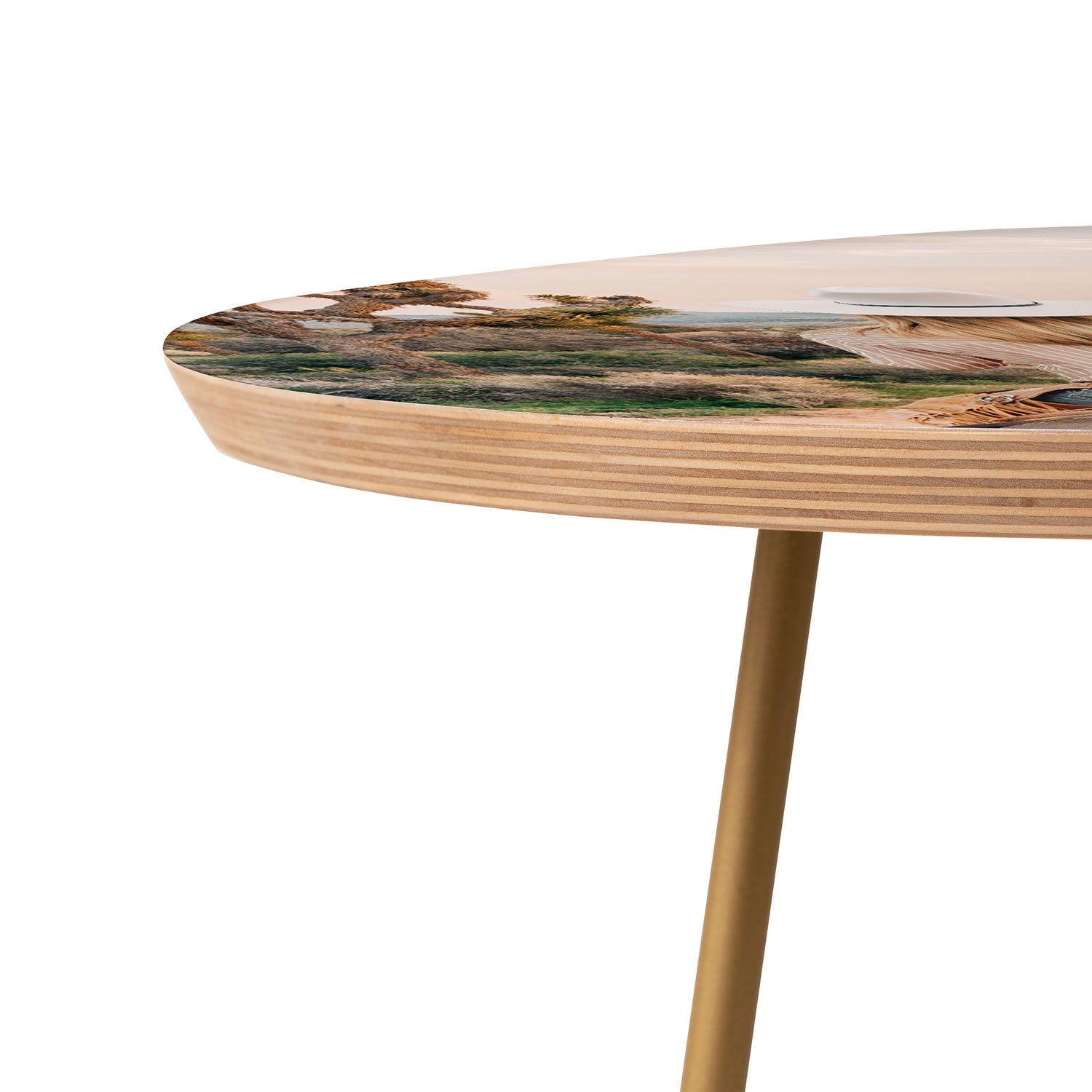Gal Design The Desert Cowgirl Round Side Table