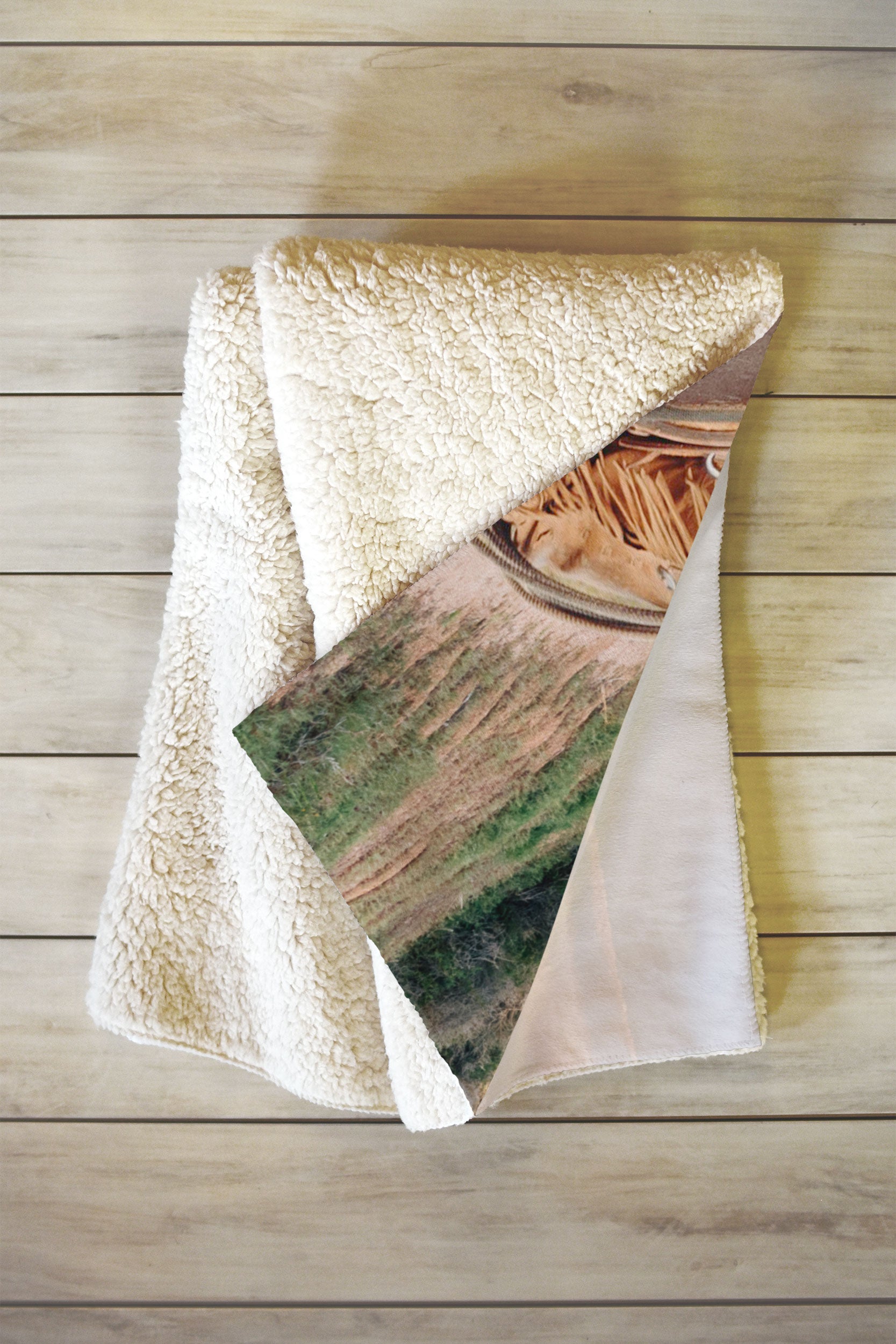 Gal Design The Desert Cowgirl Fleece Throw Blanket