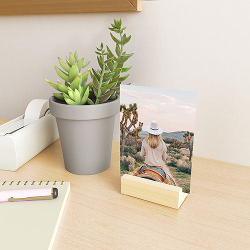 Gal Design The Desert Cowgirl Mini Art Print