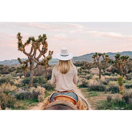 Gal Design The Desert Cowgirl Wall Mural