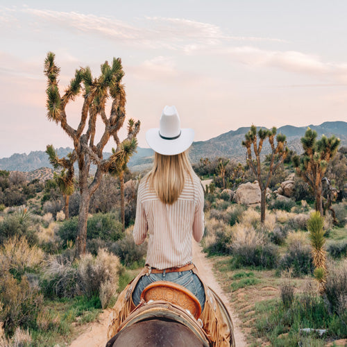 Gal Design The Desert Cowgirl Wall Mural