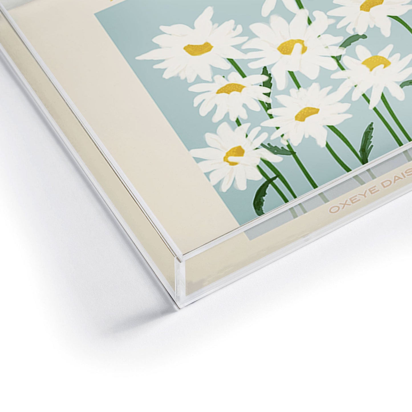 Gale Switzer Flower Market Oxeye Daisies Acrylic Tray