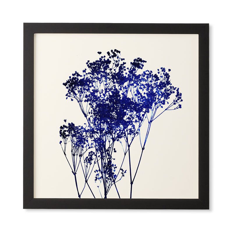Garima Dhawan Babys Breath Indigo Framed Wall Art