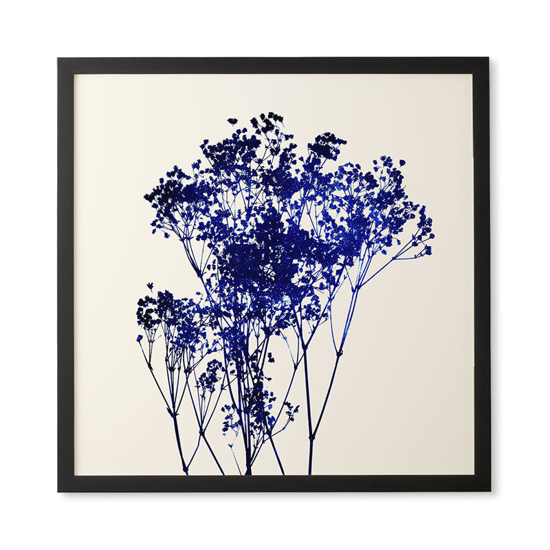 Garima Dhawan Babys Breath Indigo Framed Wall Art