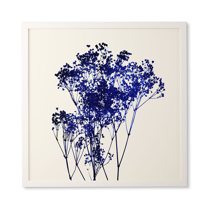 Garima Dhawan Babys Breath Indigo Framed Wall Art
