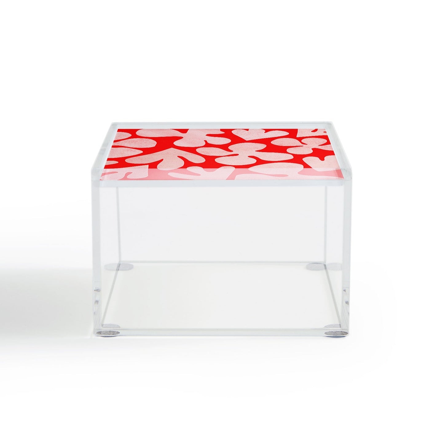 Garima Dhawan cutouts 48 Acrylic Box