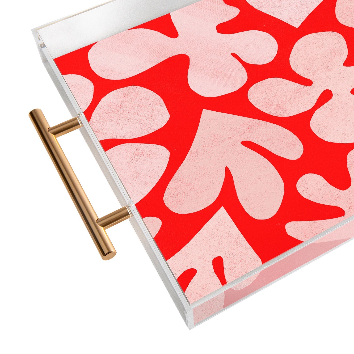 Garima Dhawan cutouts 48 Acrylic Tray