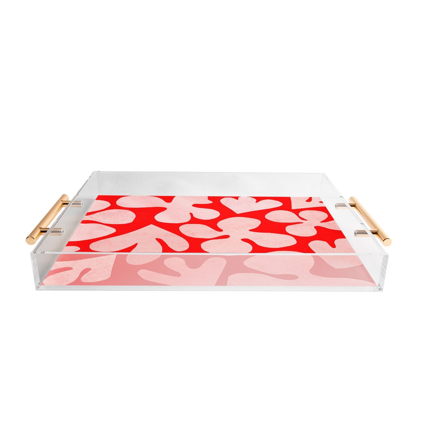 Garima Dhawan cutouts 48 Acrylic Tray
