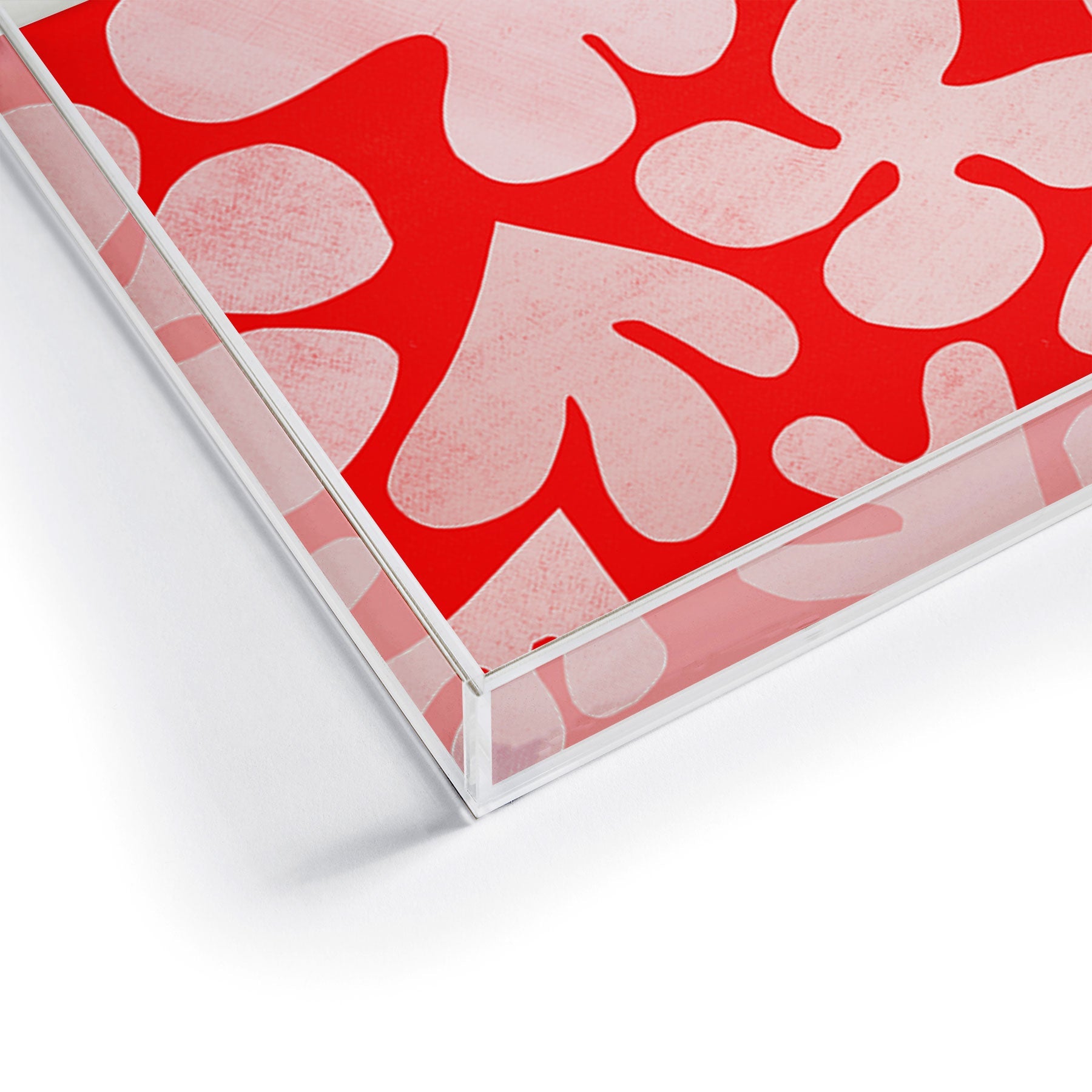 Garima Dhawan cutouts 48 Acrylic Tray