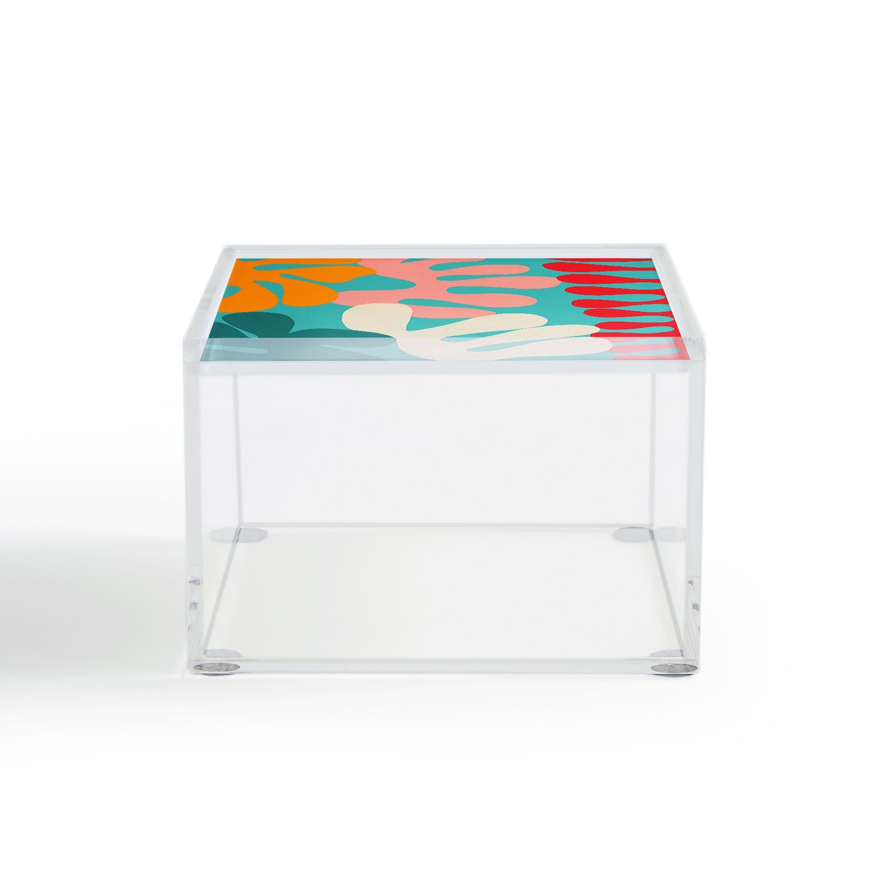 Garima Dhawan cutouts 52 Acrylic Box