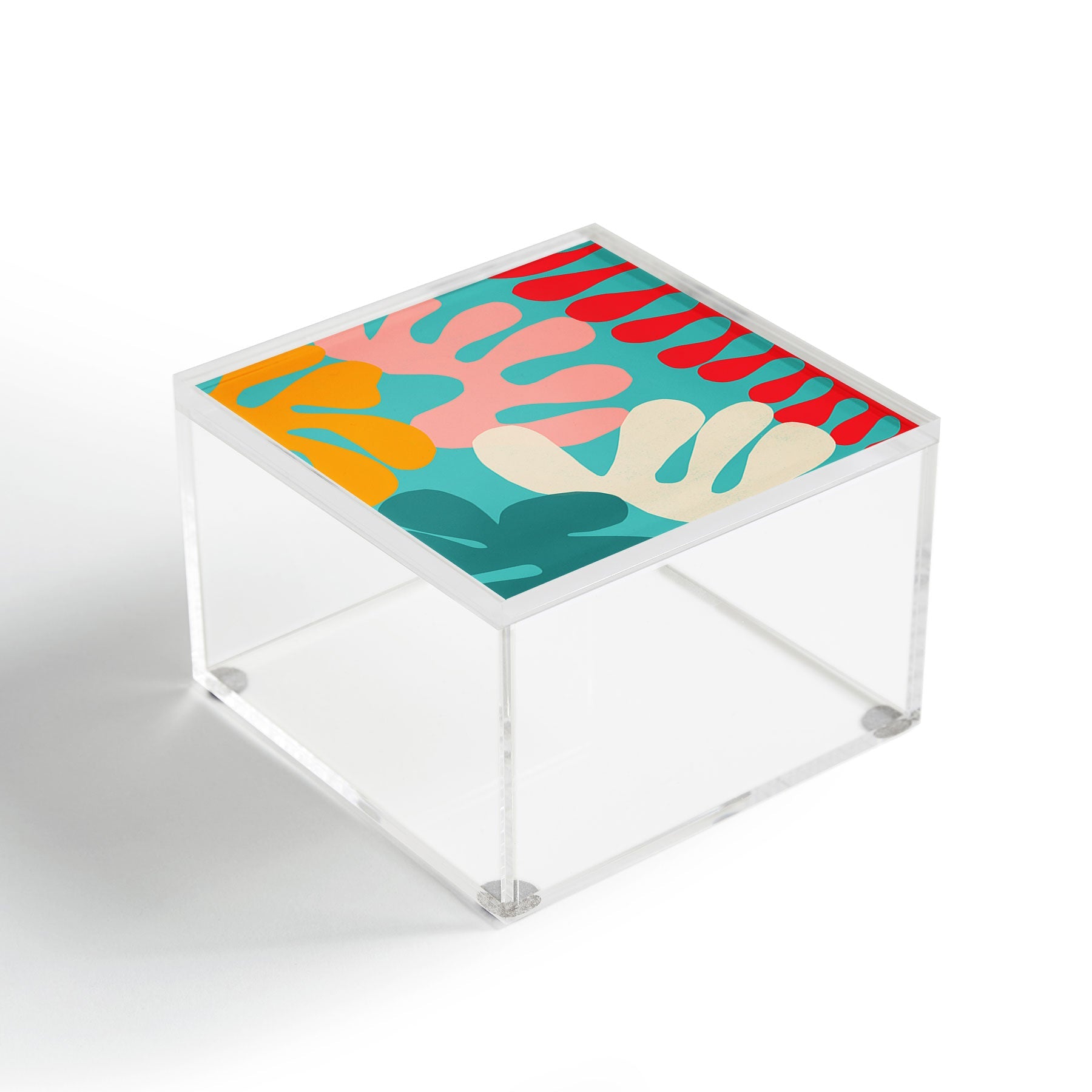 Garima Dhawan cutouts 52 Acrylic Box