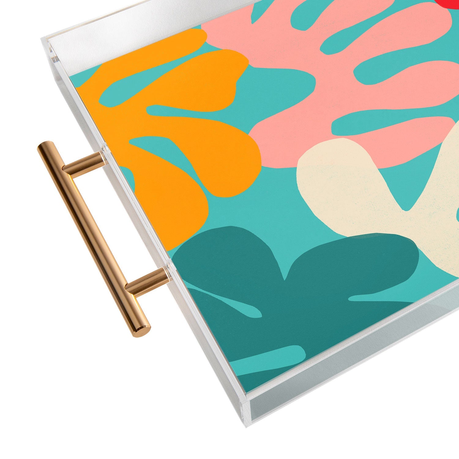 Garima Dhawan cutouts 52 Acrylic Tray