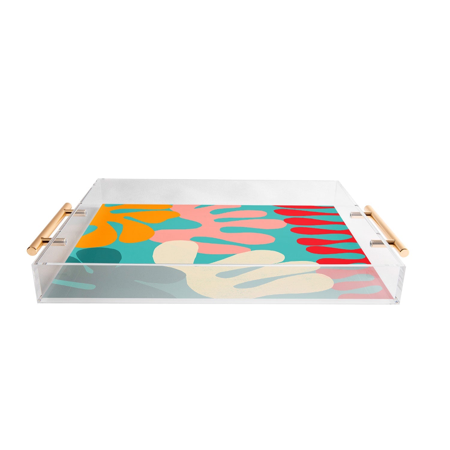 Garima Dhawan cutouts 52 Acrylic Tray