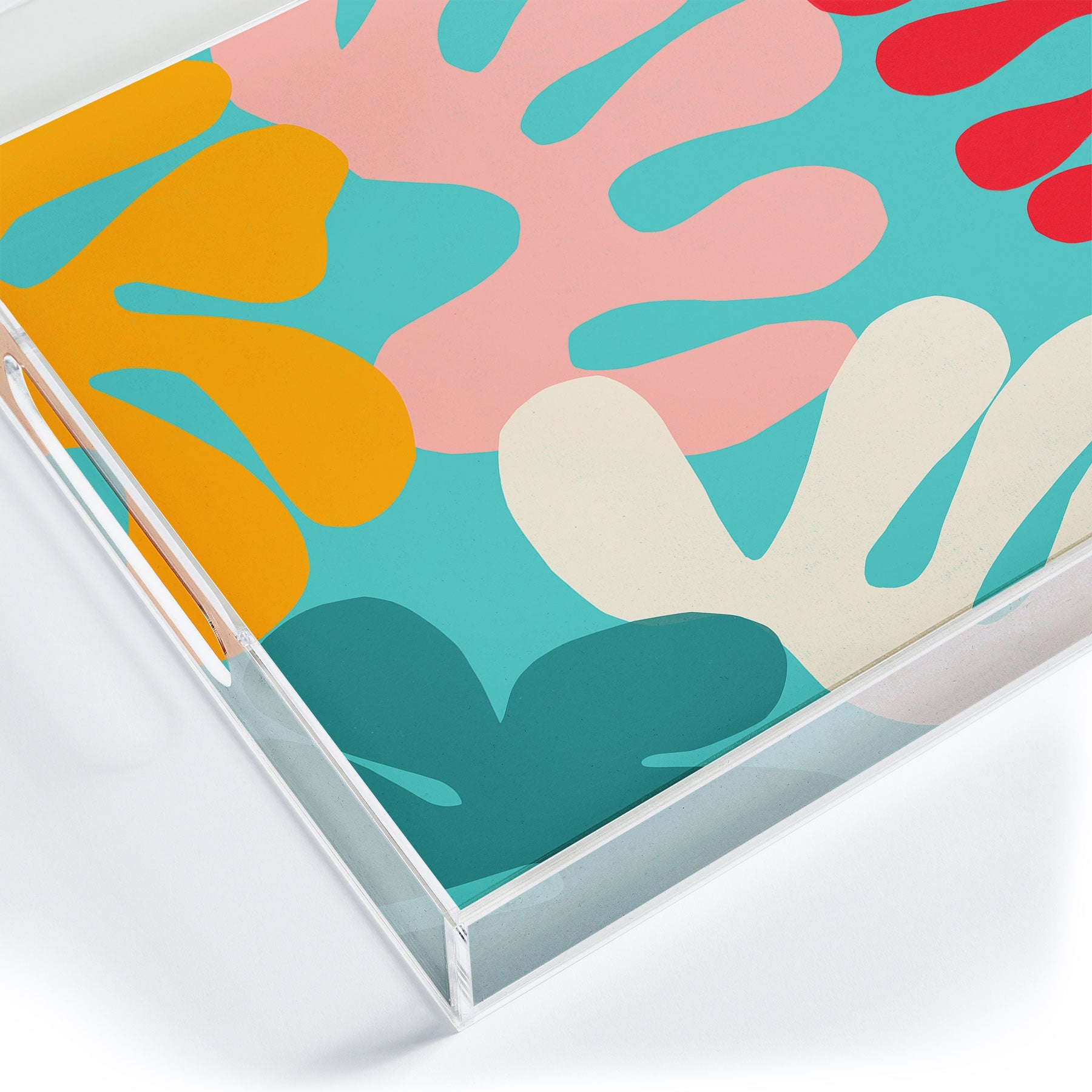 Garima Dhawan cutouts 52 Acrylic Tray