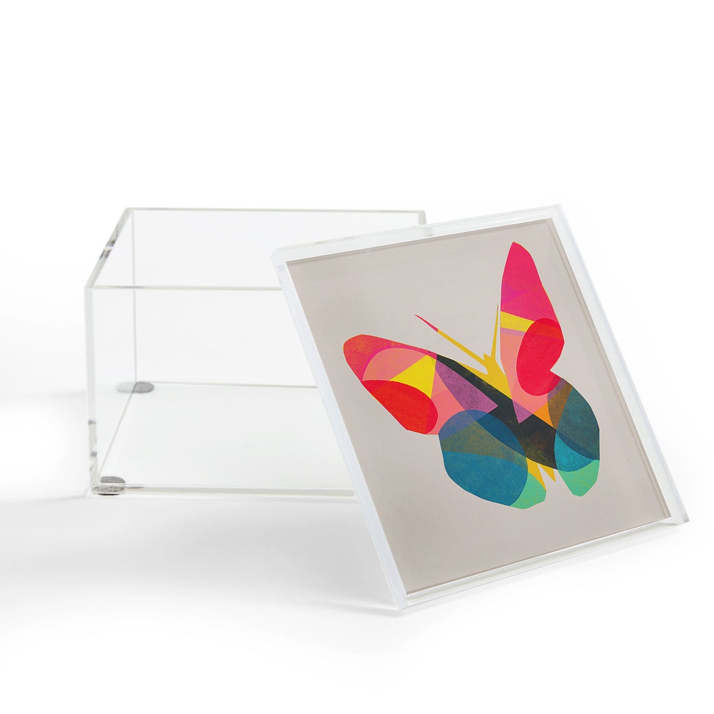 Garima Dhawan flight 1d Acrylic Box