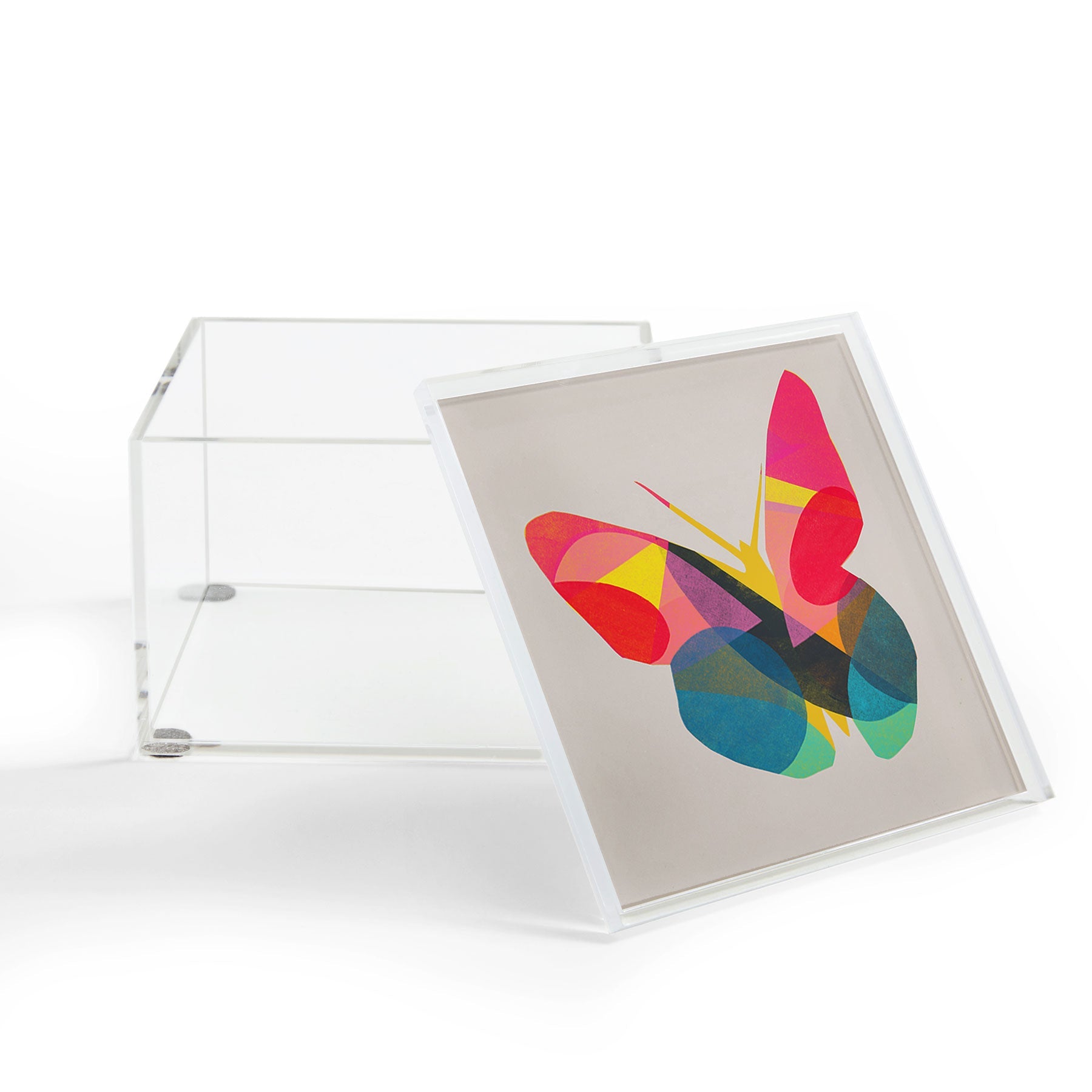 Garima Dhawan flight 1d Acrylic Box
