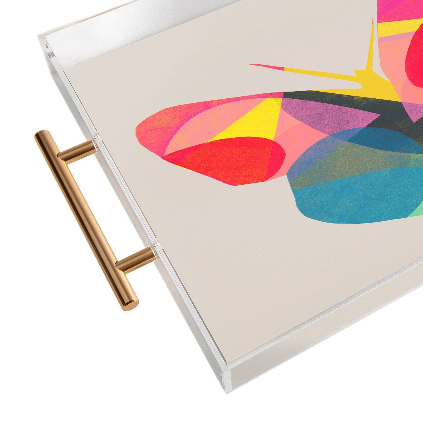 Garima Dhawan flight 1d Acrylic Tray