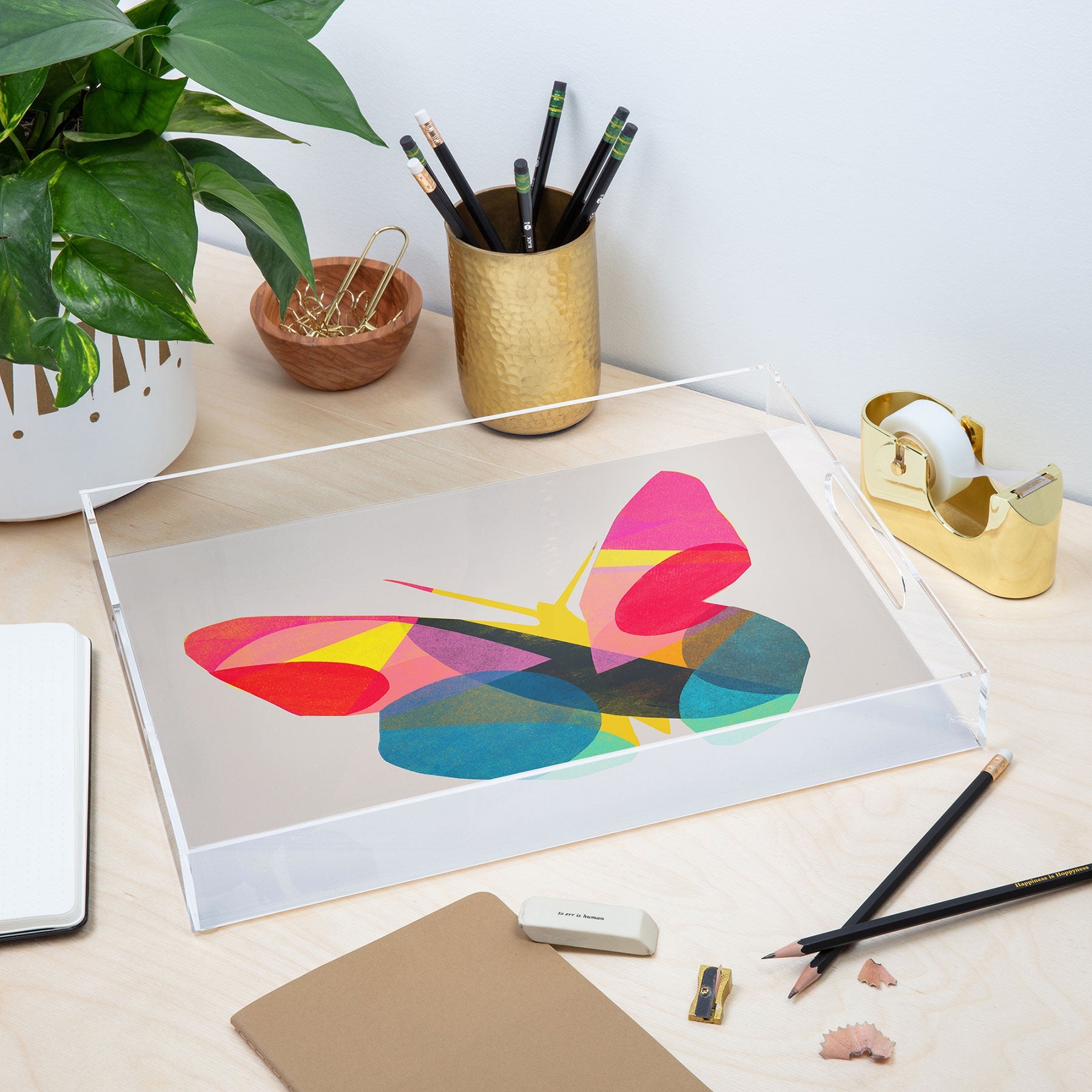 Garima Dhawan flight 1d Acrylic Tray