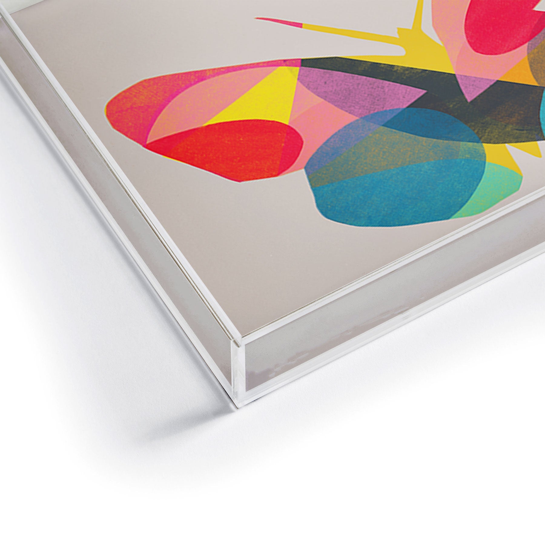 Garima Dhawan flight 1d Acrylic Tray