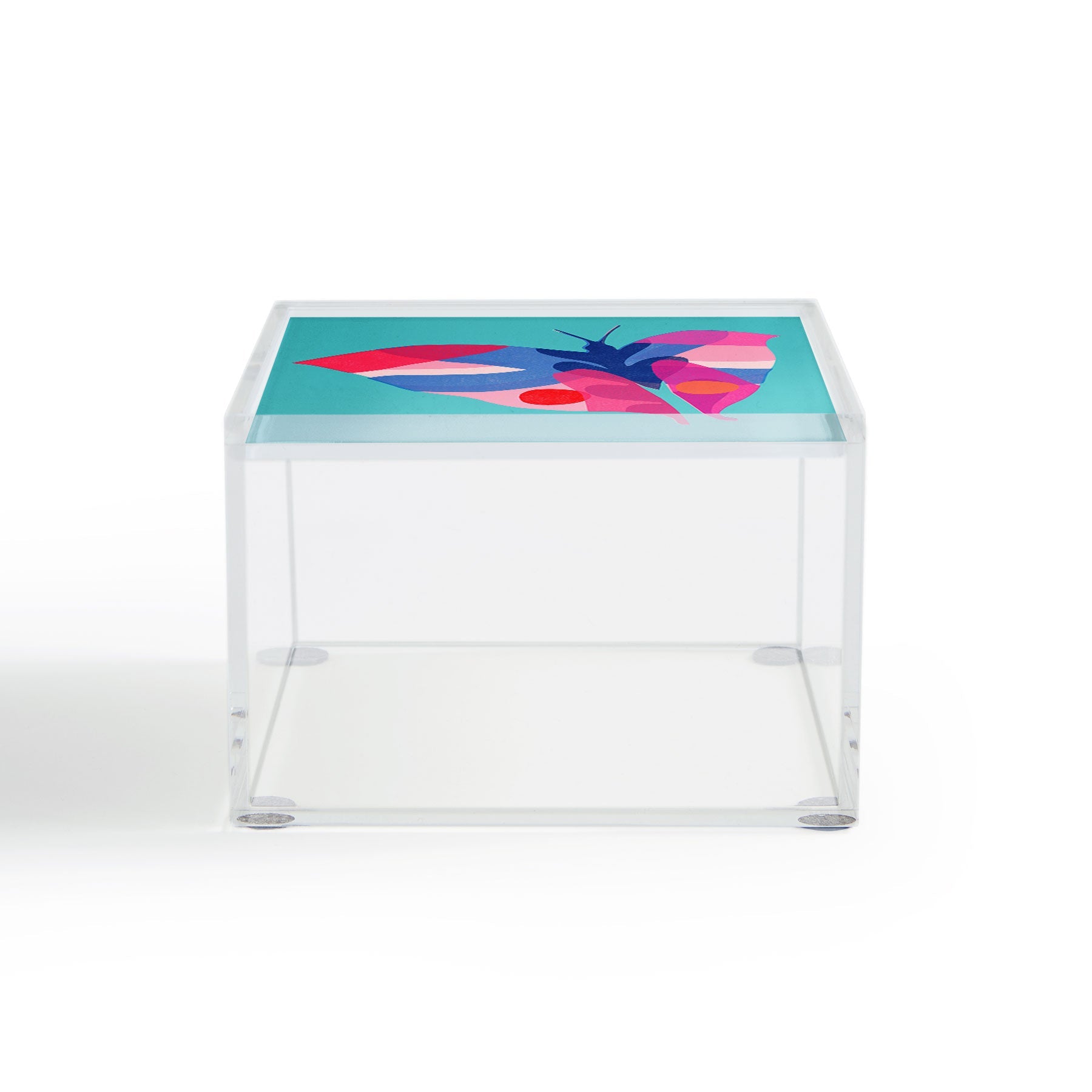 Garima Dhawan flight 2 Acrylic Box
