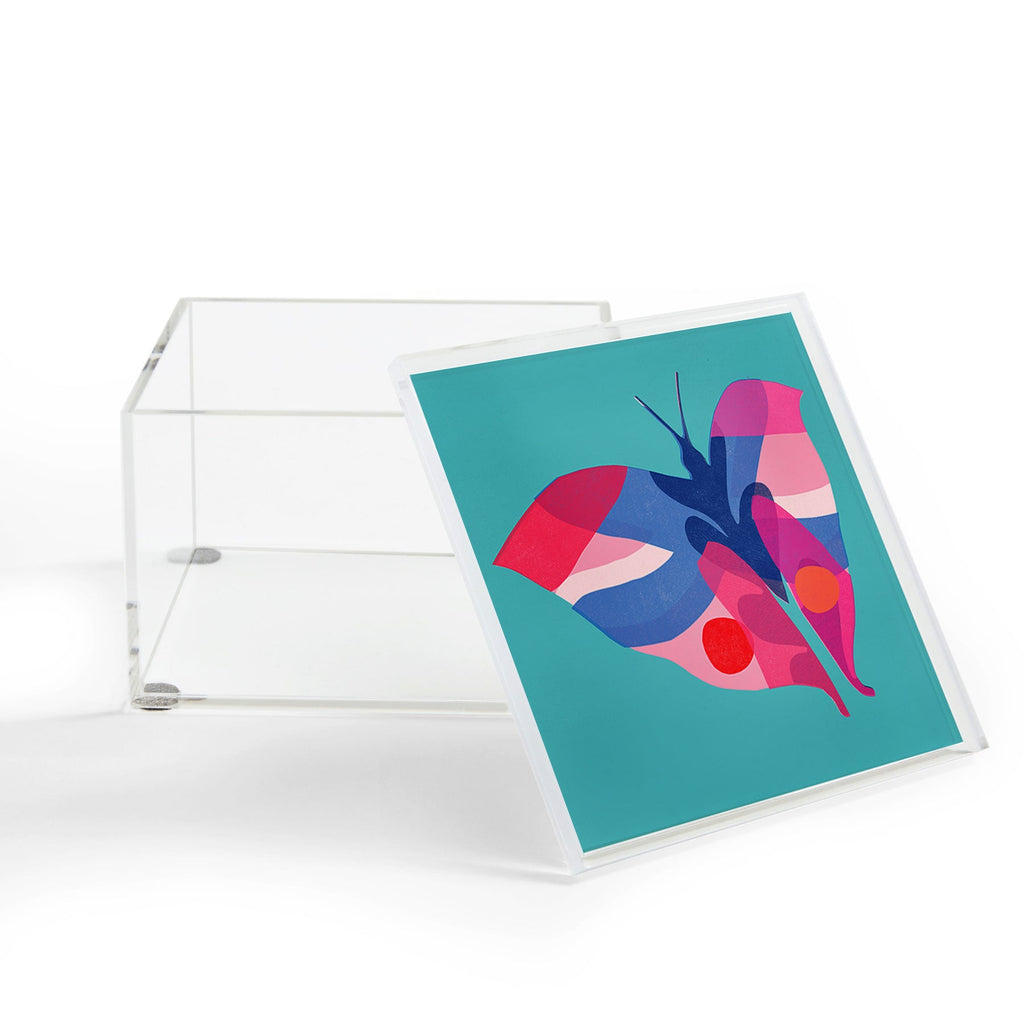 Garima Dhawan flight 2 Acrylic Box