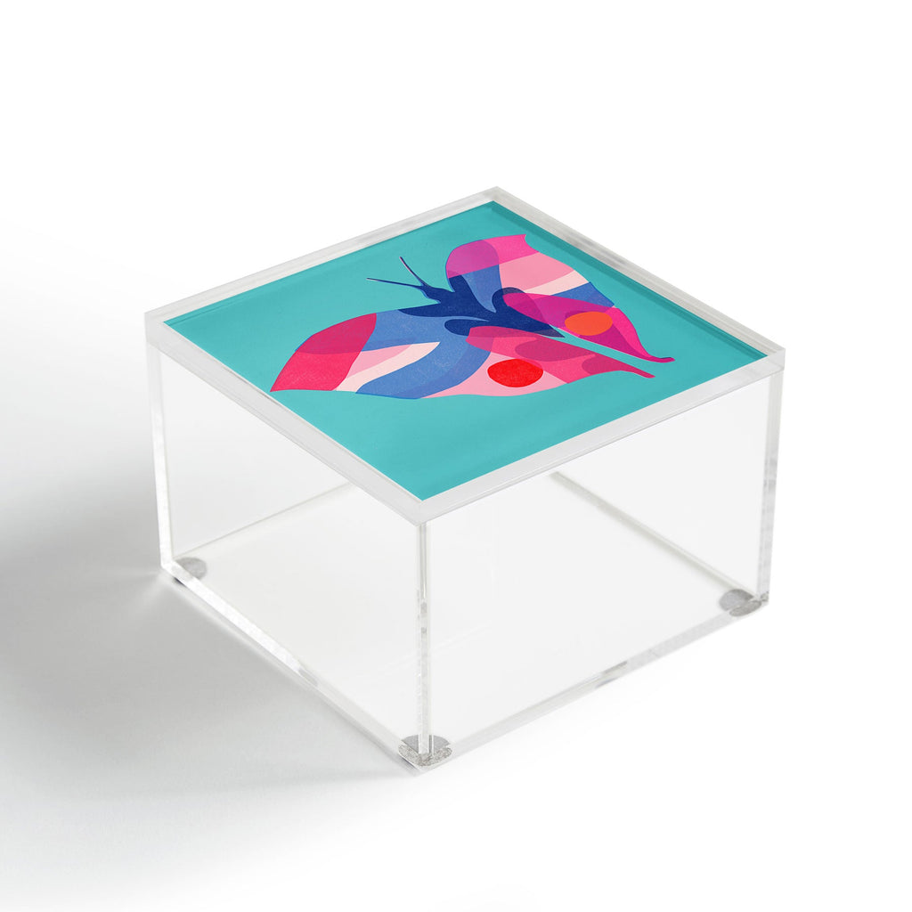 Garima Dhawan flight 2 Acrylic Box