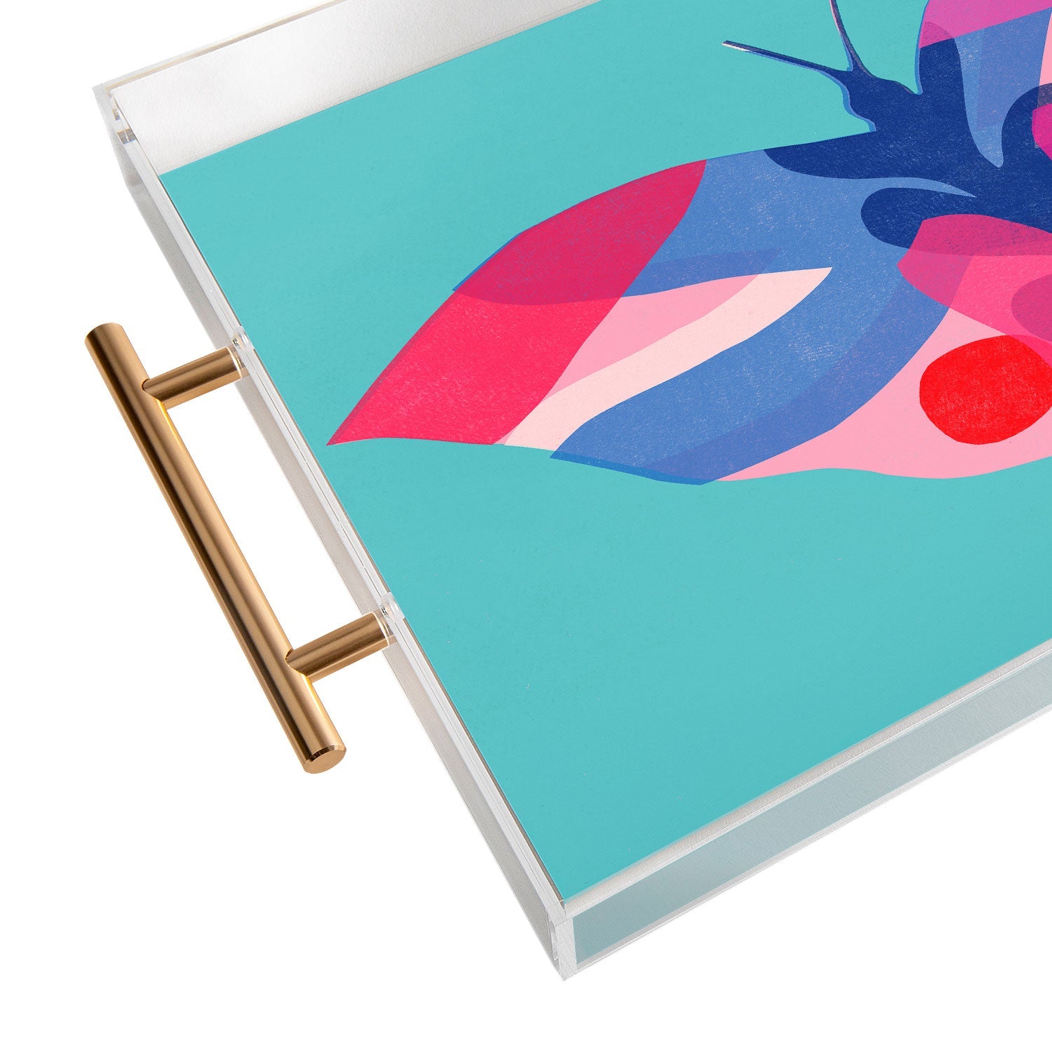 Garima Dhawan flight 2 Acrylic Tray