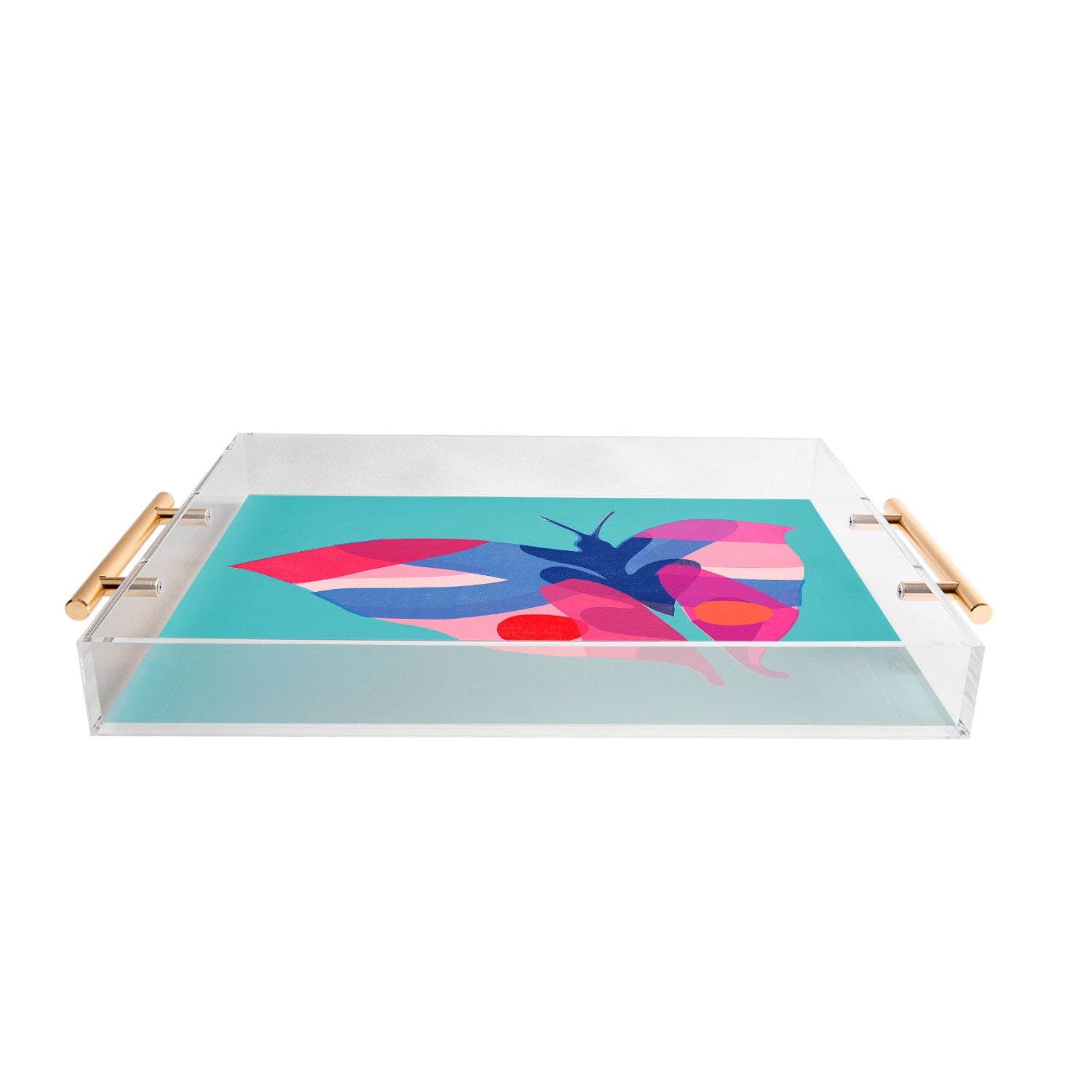 Garima Dhawan flight 2 Acrylic Tray
