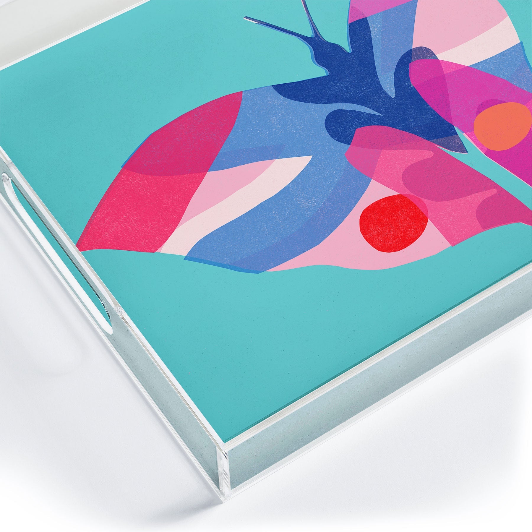 Garima Dhawan flight 2 Acrylic Tray