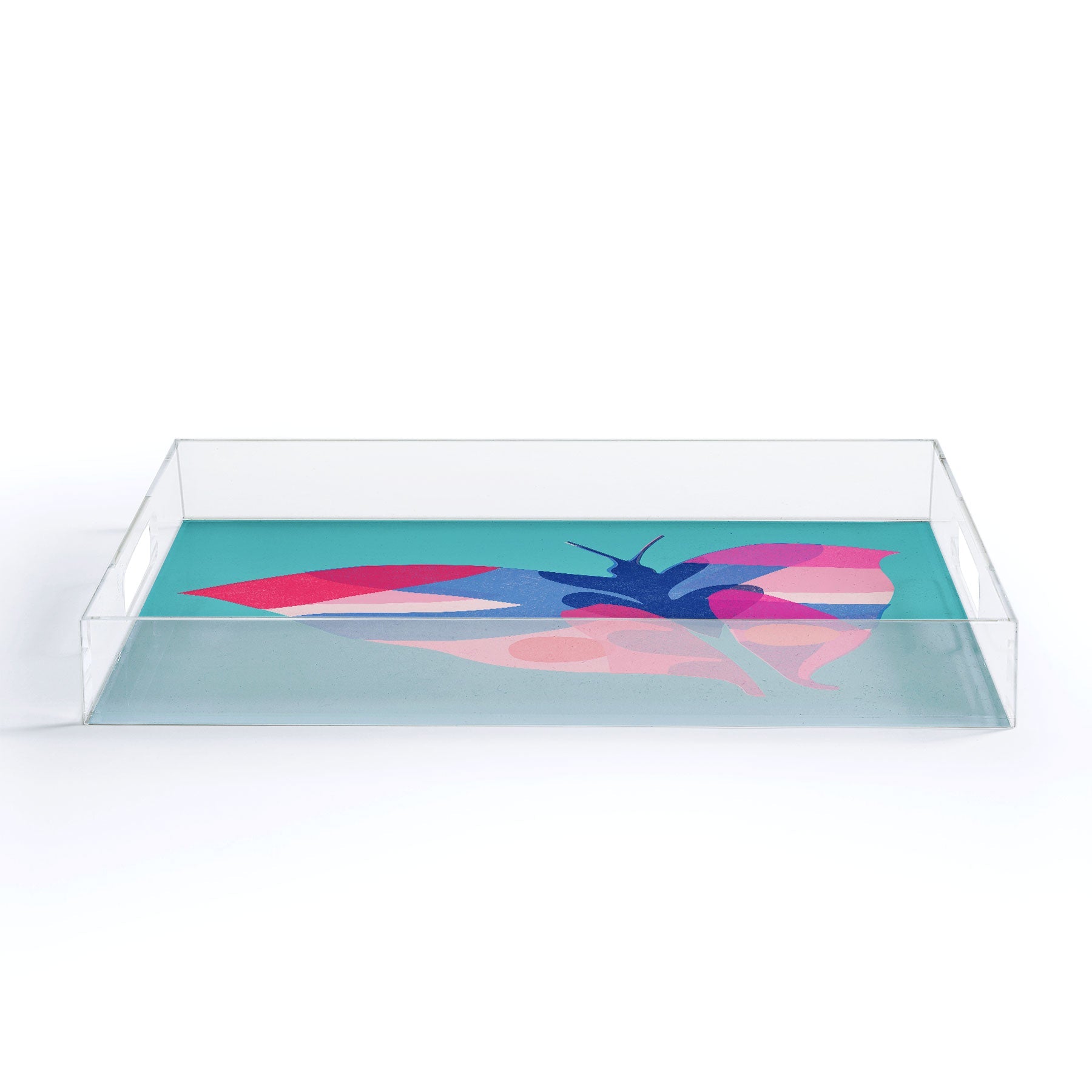 Garima Dhawan flight 2 Acrylic Tray