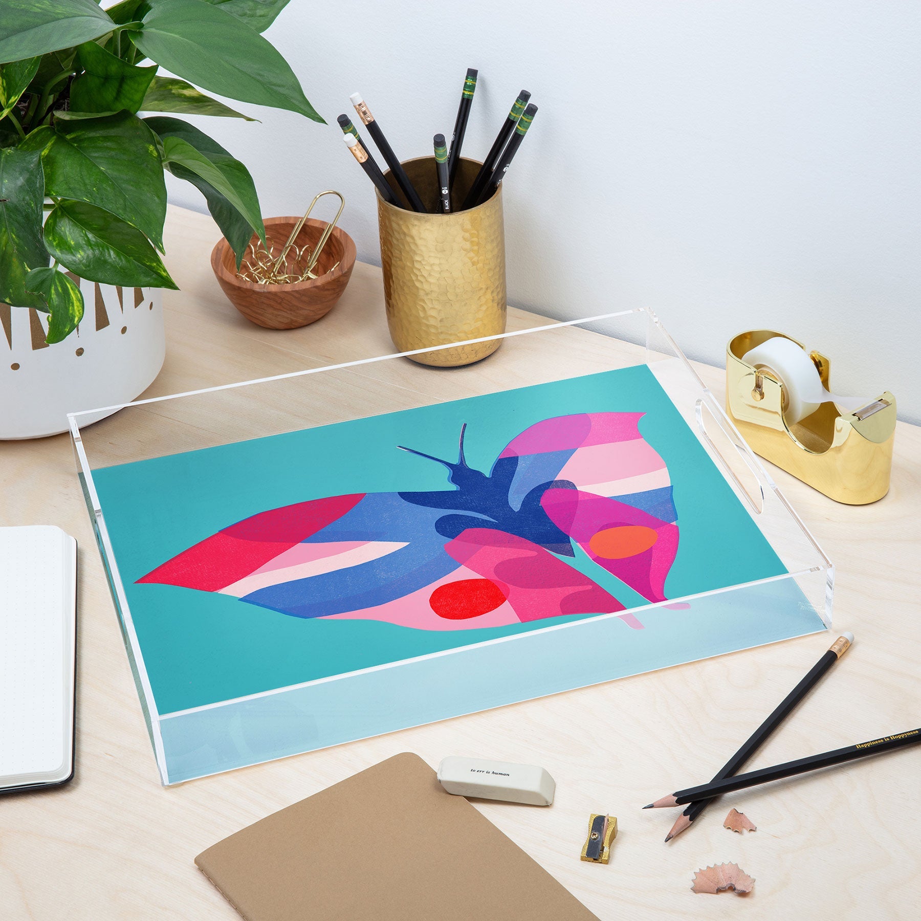 Garima Dhawan flight 2 Acrylic Tray