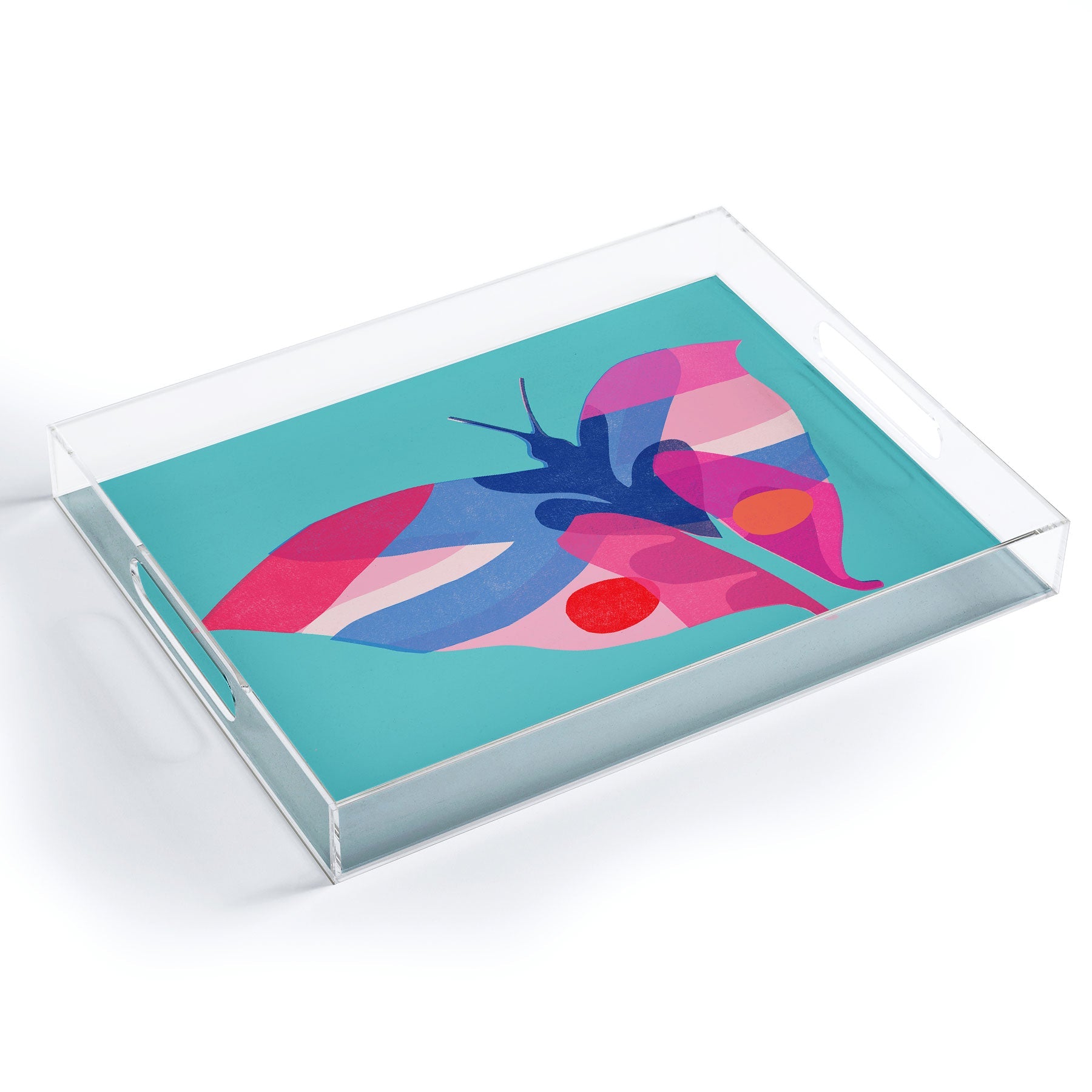 Garima Dhawan flight 2 Acrylic Tray