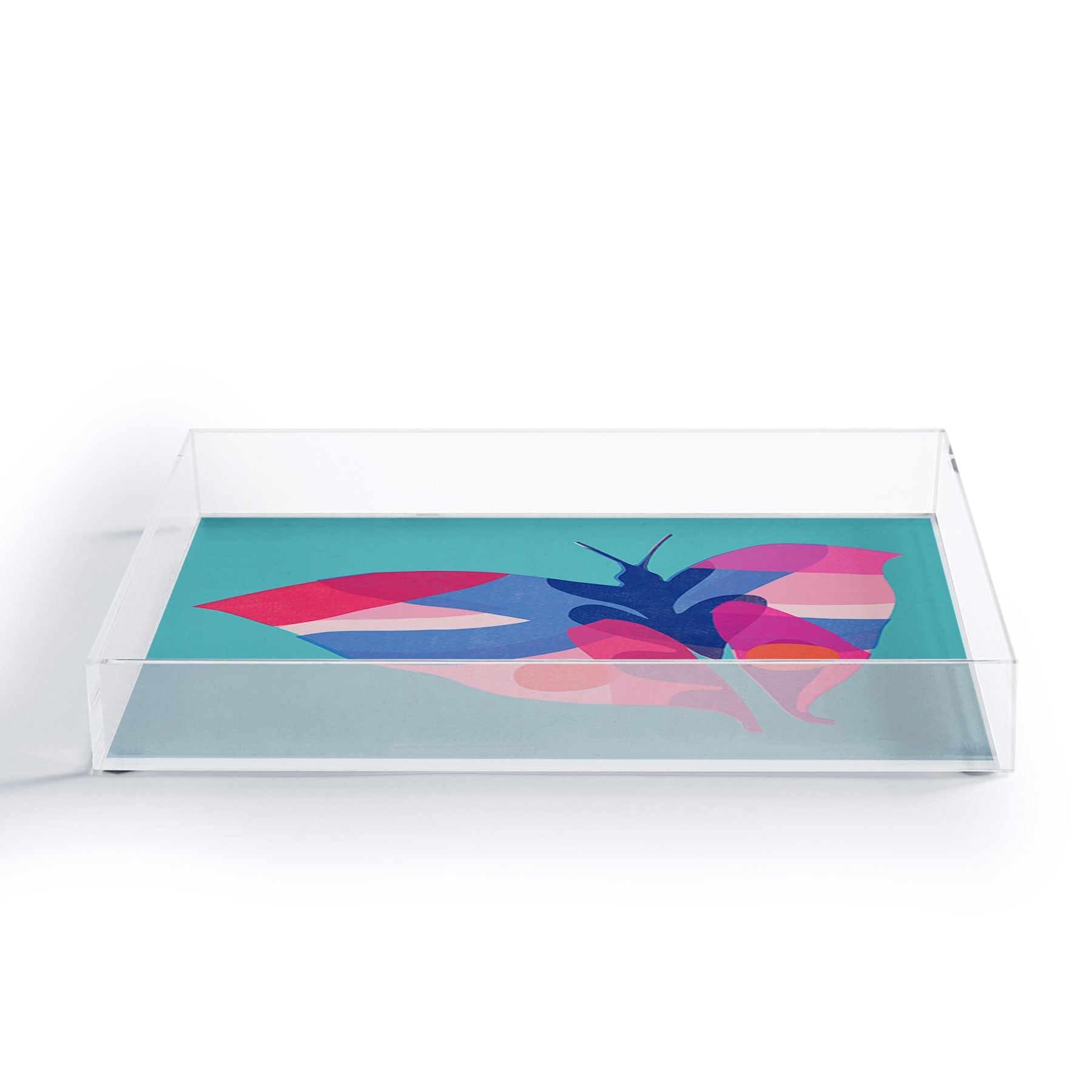 Garima Dhawan flight 2 Acrylic Tray