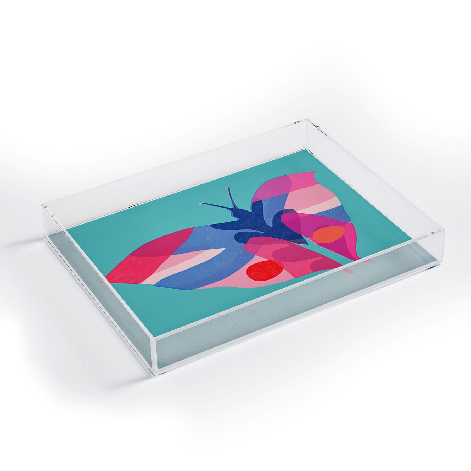 Garima Dhawan flight 2 Acrylic Tray