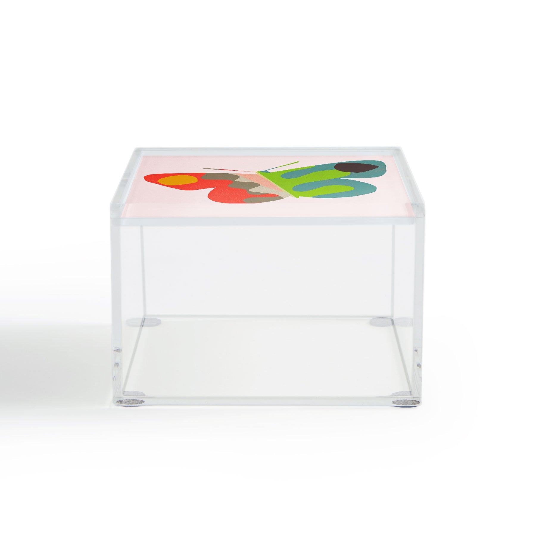 Garima Dhawan flight 3 Acrylic Box
