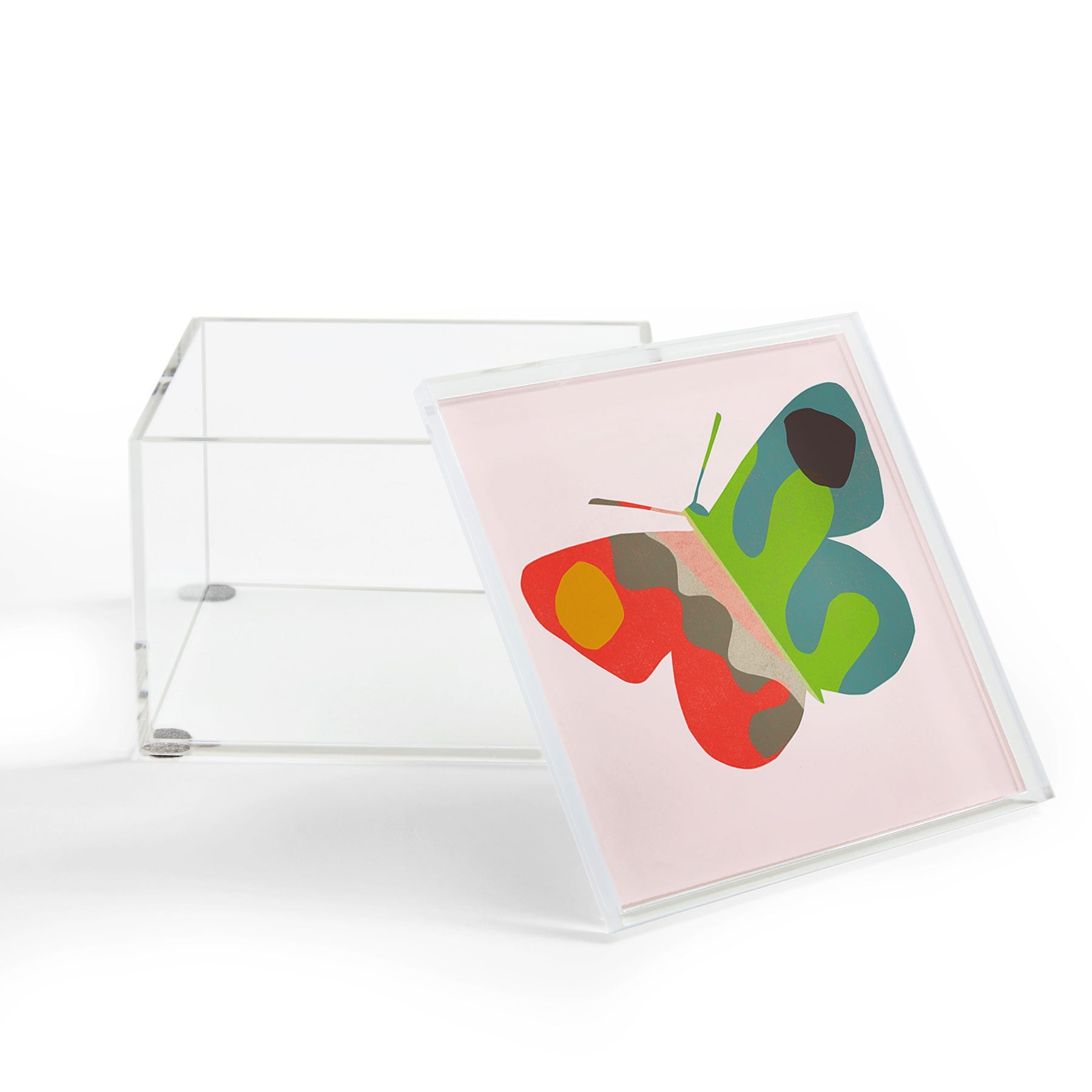 Garima Dhawan flight 3 Acrylic Box