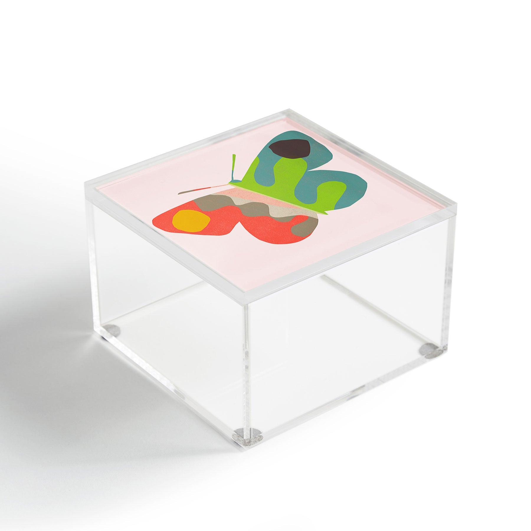 Garima Dhawan flight 3 Acrylic Box