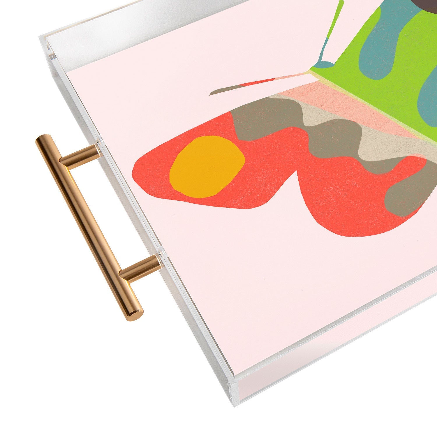Garima Dhawan flight 3 Acrylic Tray