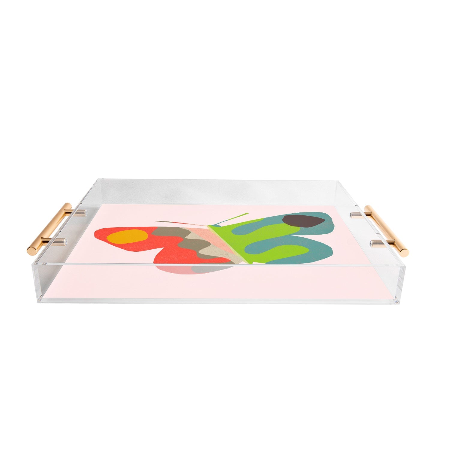 Garima Dhawan flight 3 Acrylic Tray