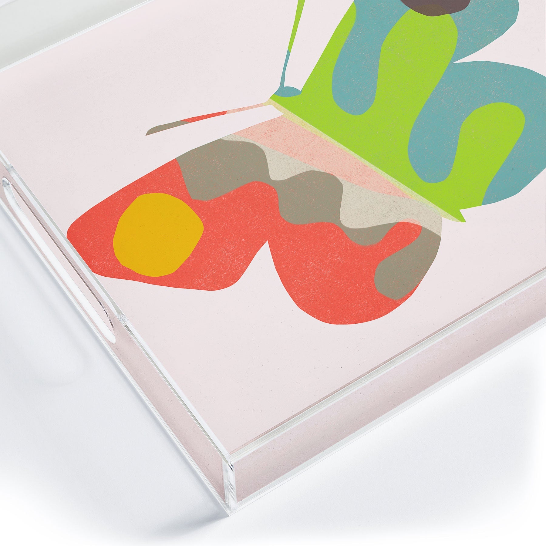 Garima Dhawan flight 3 Acrylic Tray
