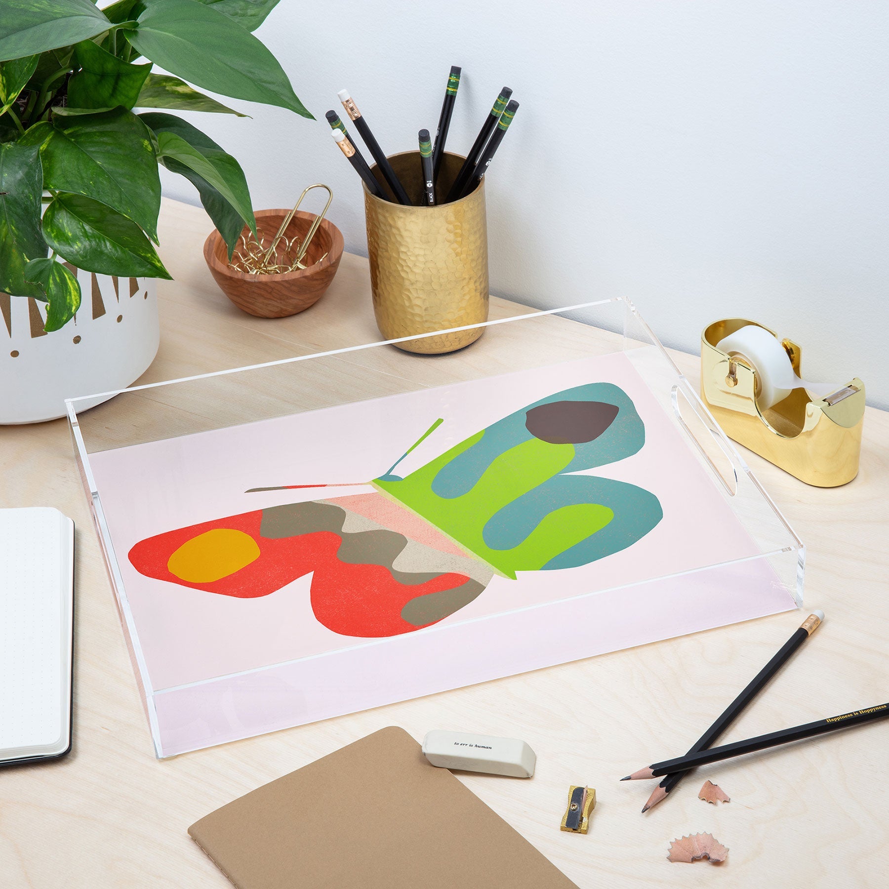 Garima Dhawan flight 3 Acrylic Tray