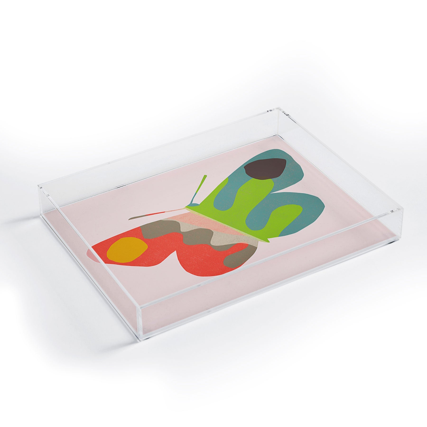 Garima Dhawan flight 3 Acrylic Tray