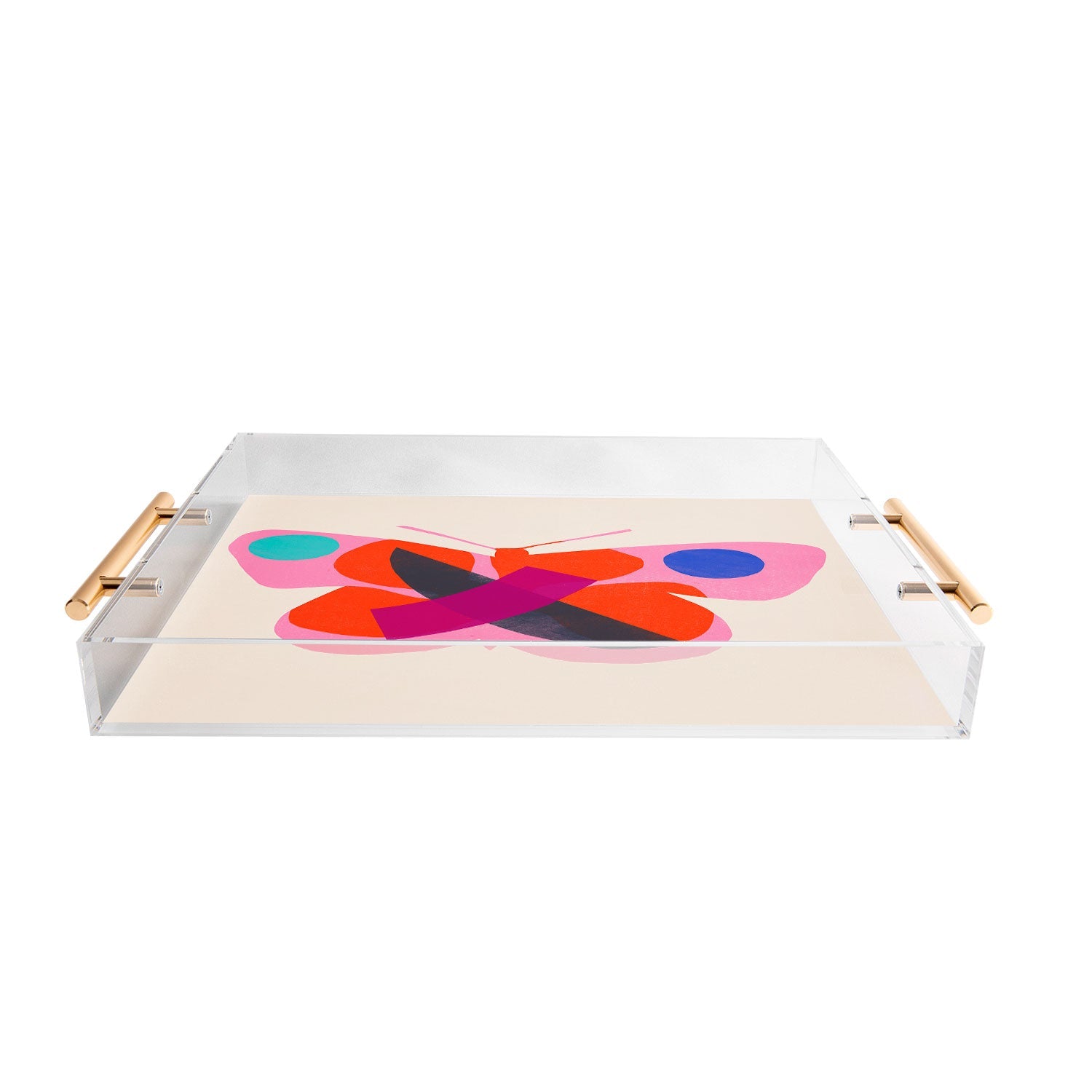 Garima Dhawan flight 4 Acrylic Tray