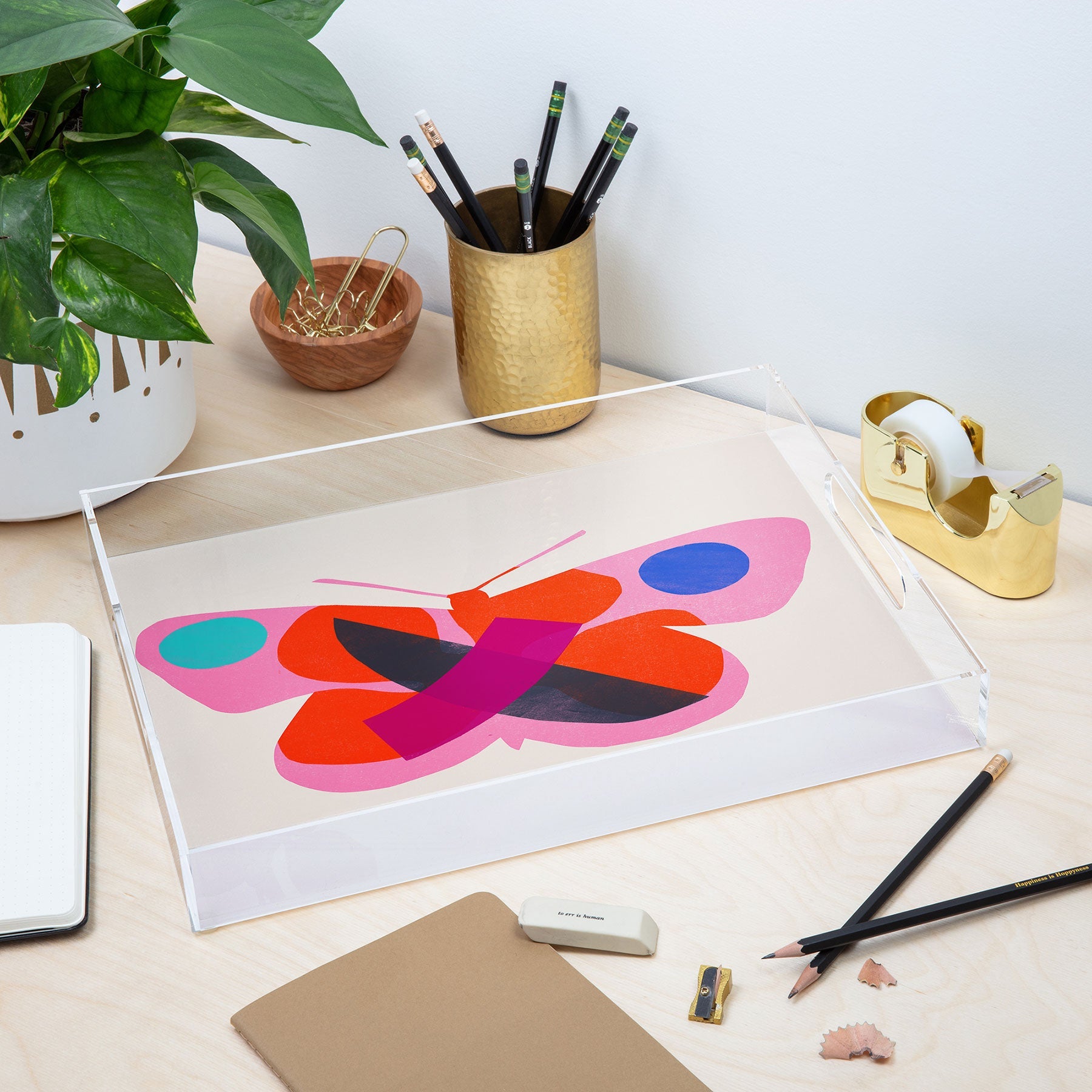 Garima Dhawan flight 4 Acrylic Tray