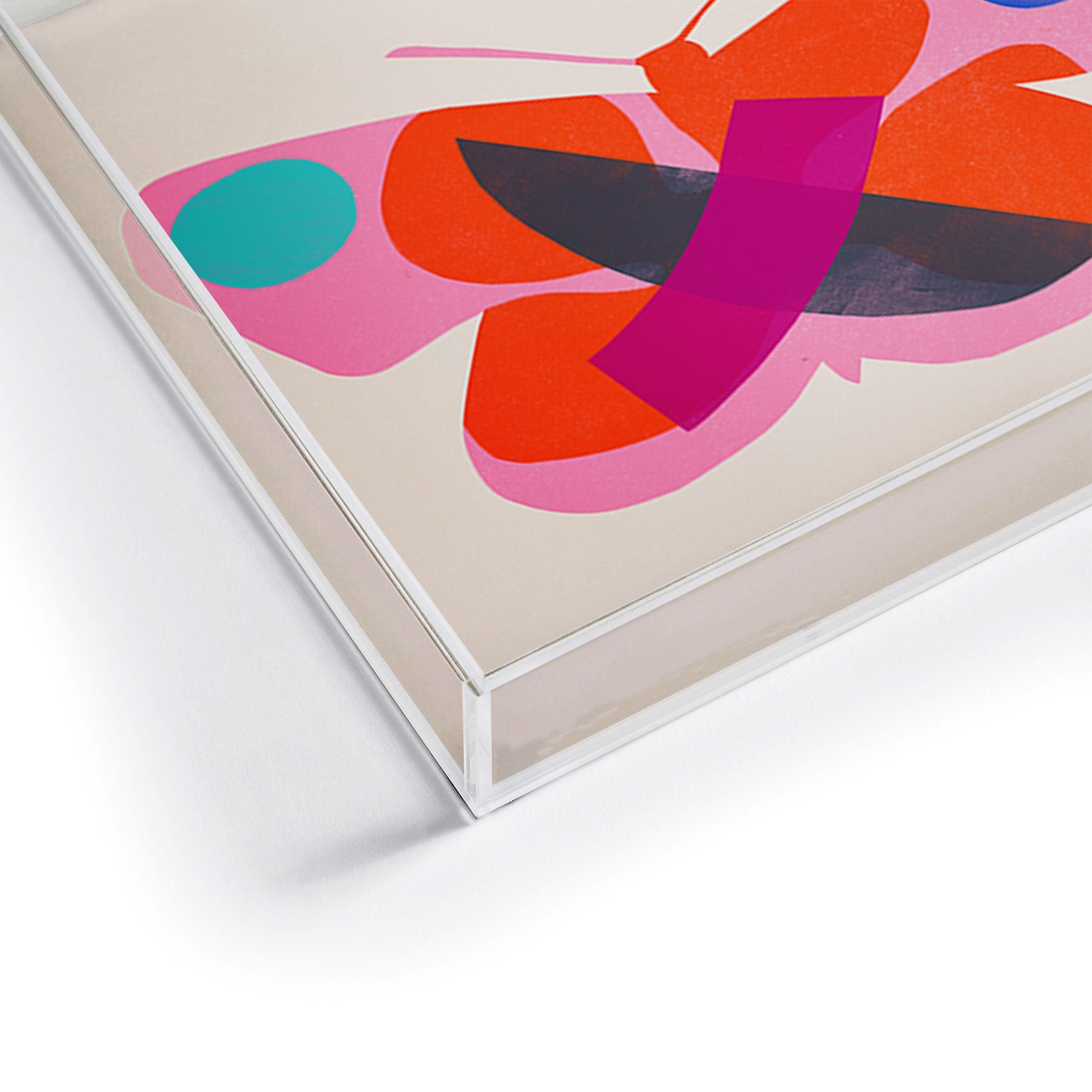 Garima Dhawan flight 4 Acrylic Tray