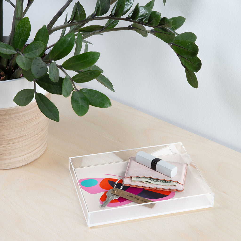 Garima Dhawan flight 4 Acrylic Tray
