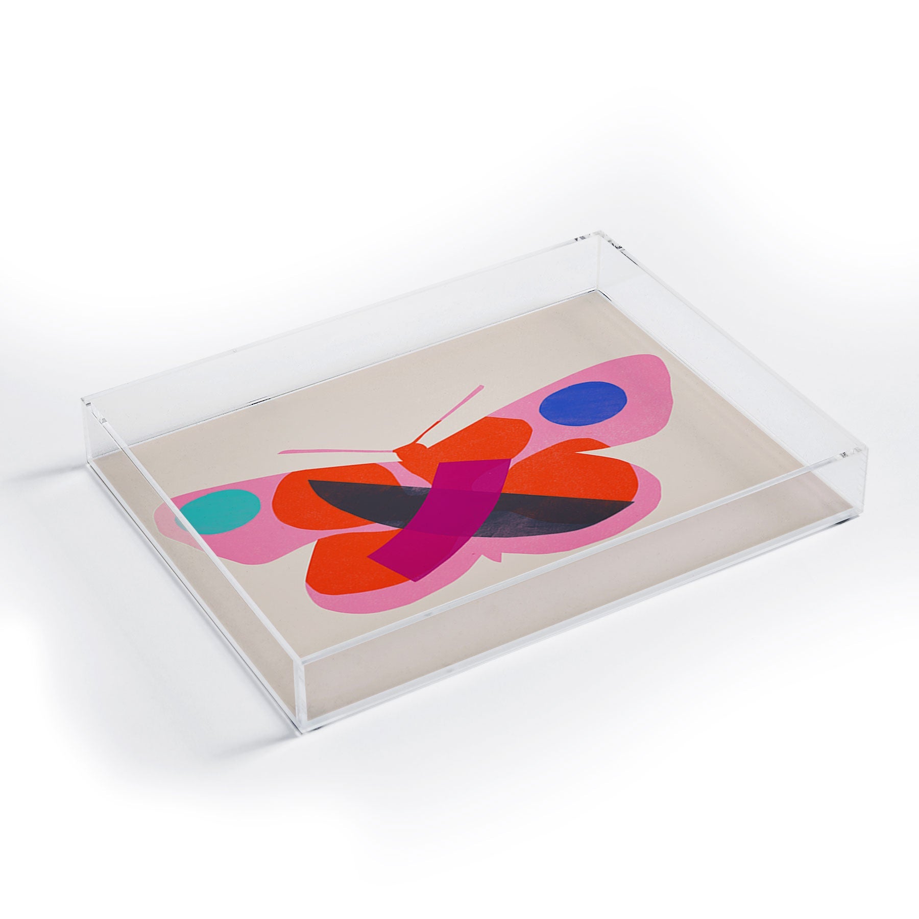 Garima Dhawan flight 4 Acrylic Tray