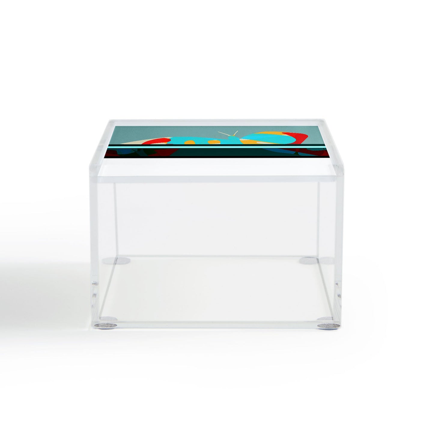 Garima Dhawan flight 5 Acrylic Box