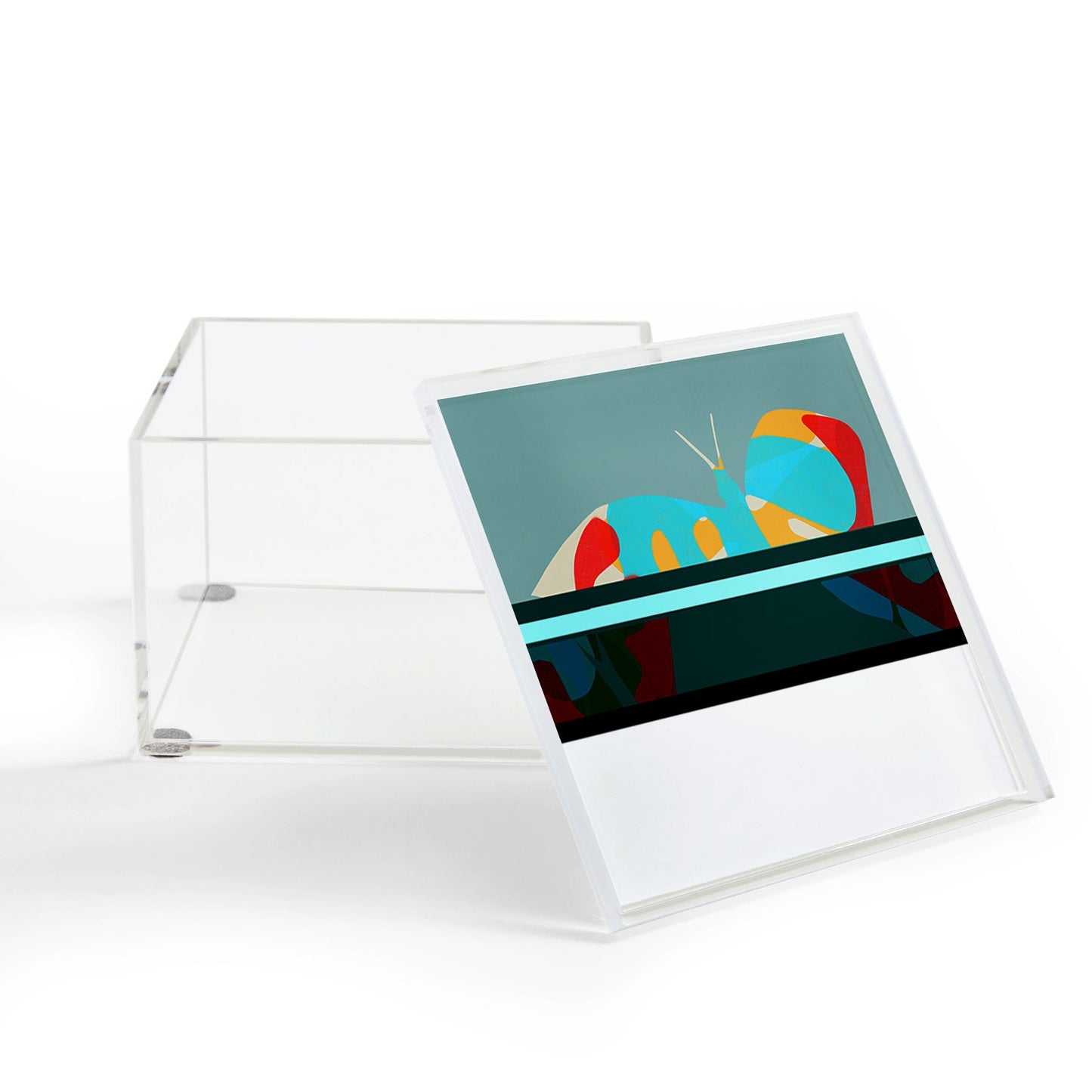 Garima Dhawan flight 5 Acrylic Box